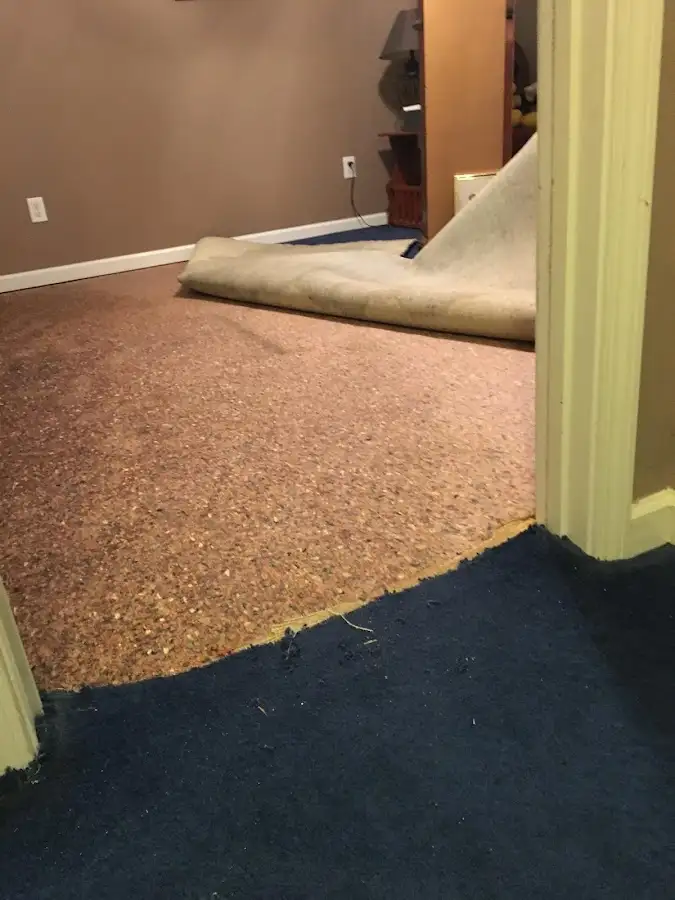 Carpet pad removal revealing water damage during Drying & Dehumidification in Lantana