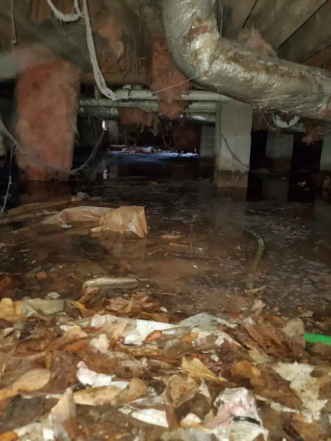 Crawl space flood assessment for Leak Detection & Repair in Lantana